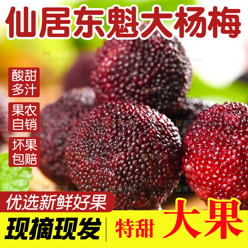 木底上放着仙居杨梅