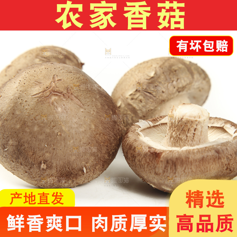 白底上放着香菇