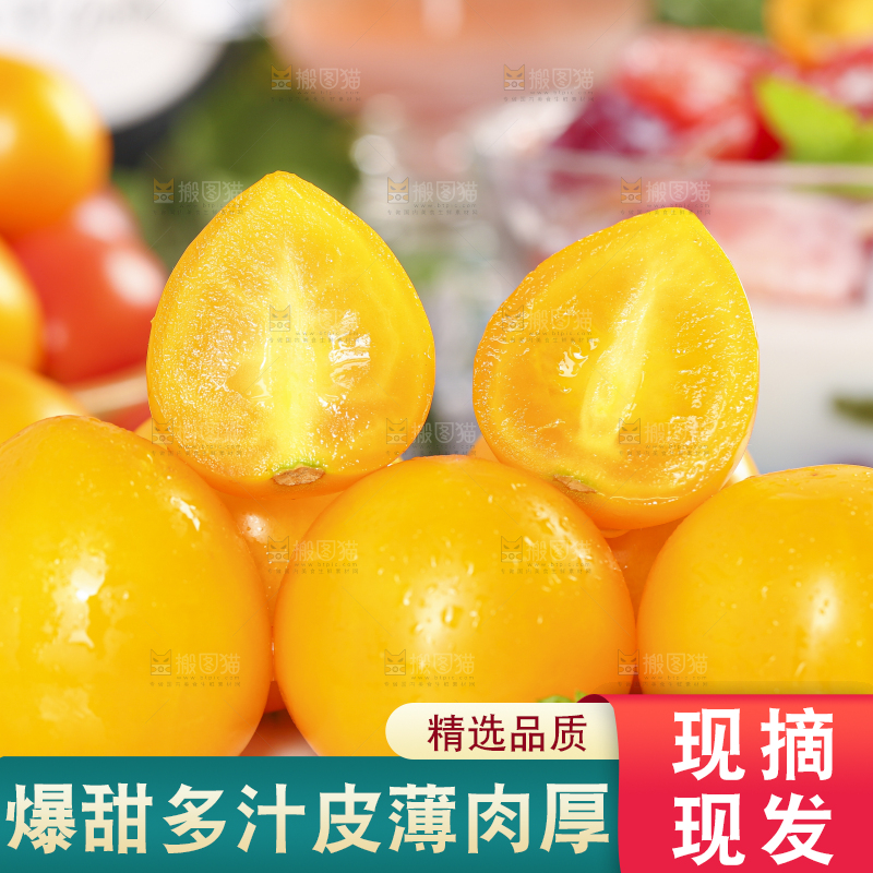 白底上摆放着山东黄金小番茄