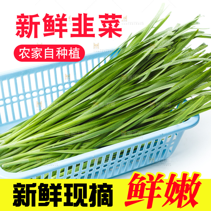 篮子里装着韭菜