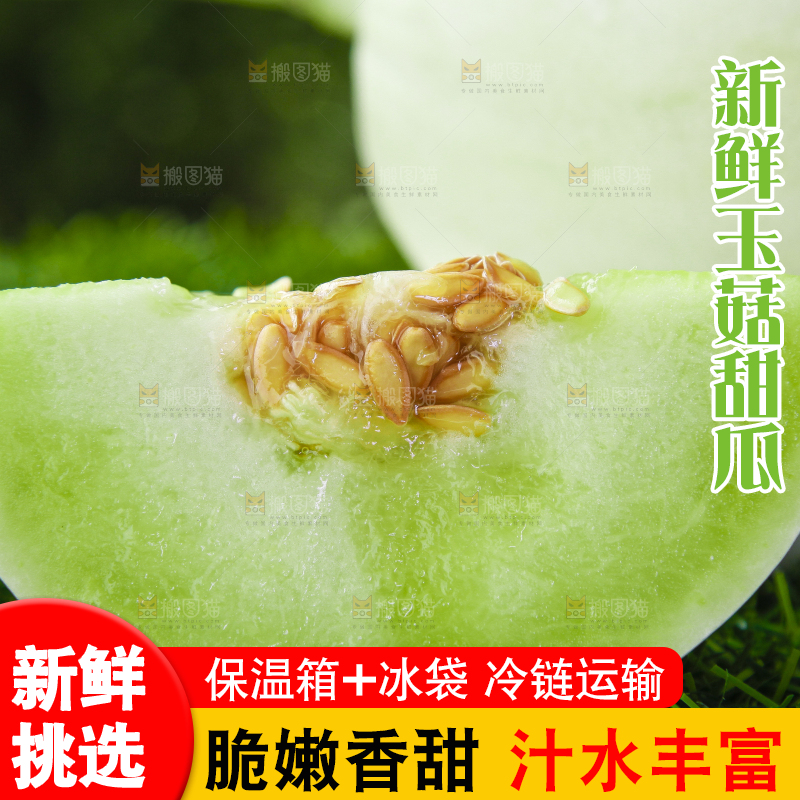 绿草地上摆放着玉菇甜瓜
