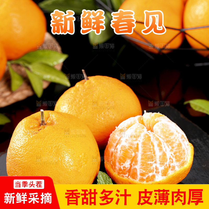 石板上摆放着四川春见耙耙柑