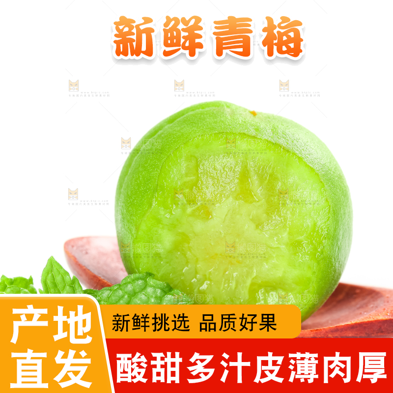 白底上的诏安青梅