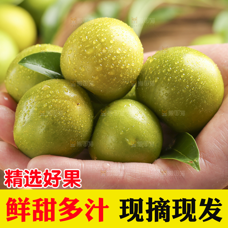 手里捧着脱骨李
