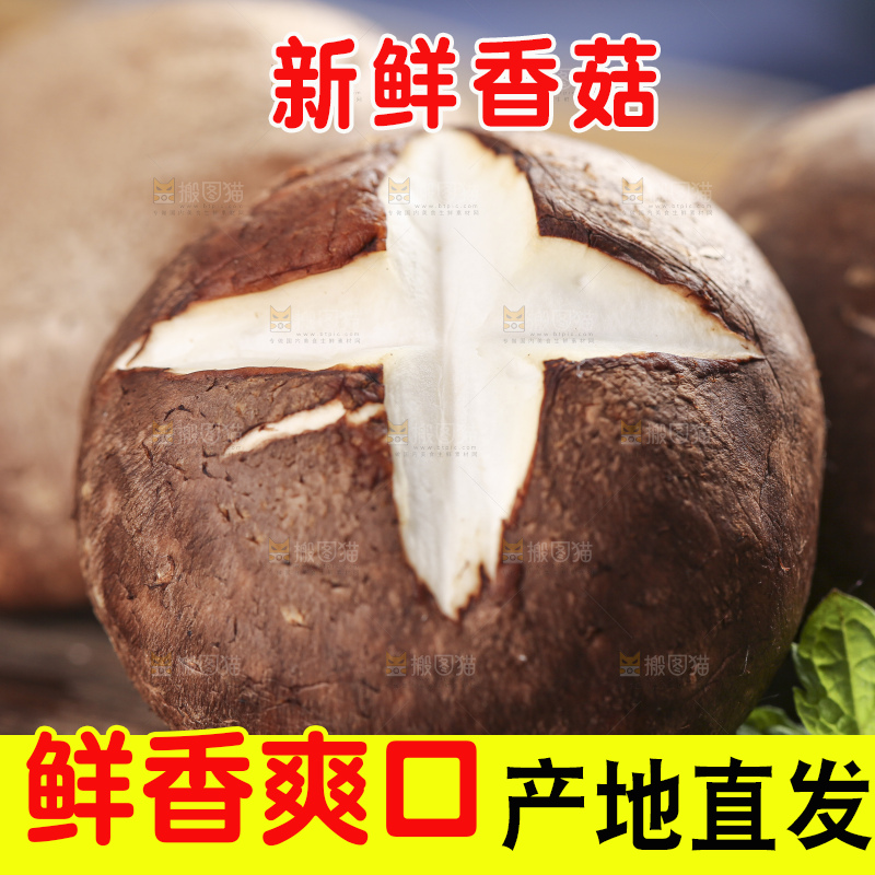 木底上摆放着湖北香菇