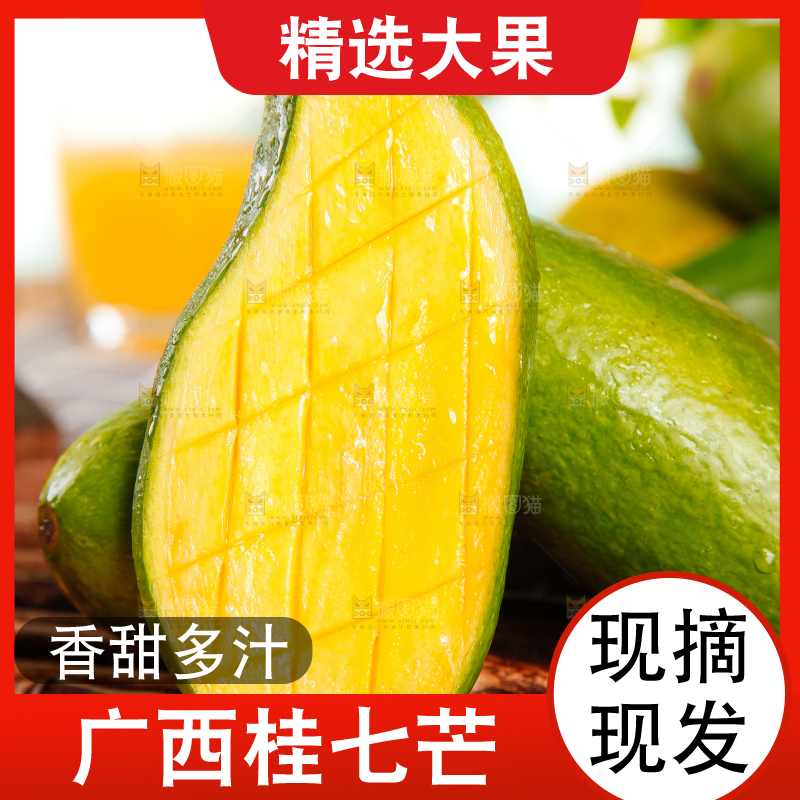 竹底上的青皮桂七芒
