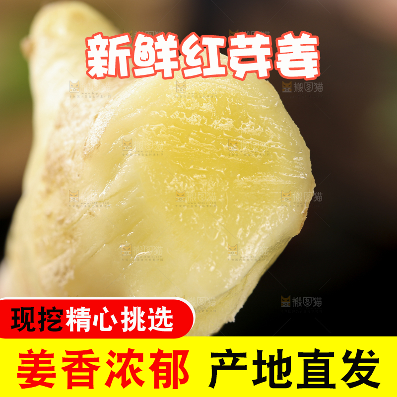 手里拿着红芽姜
