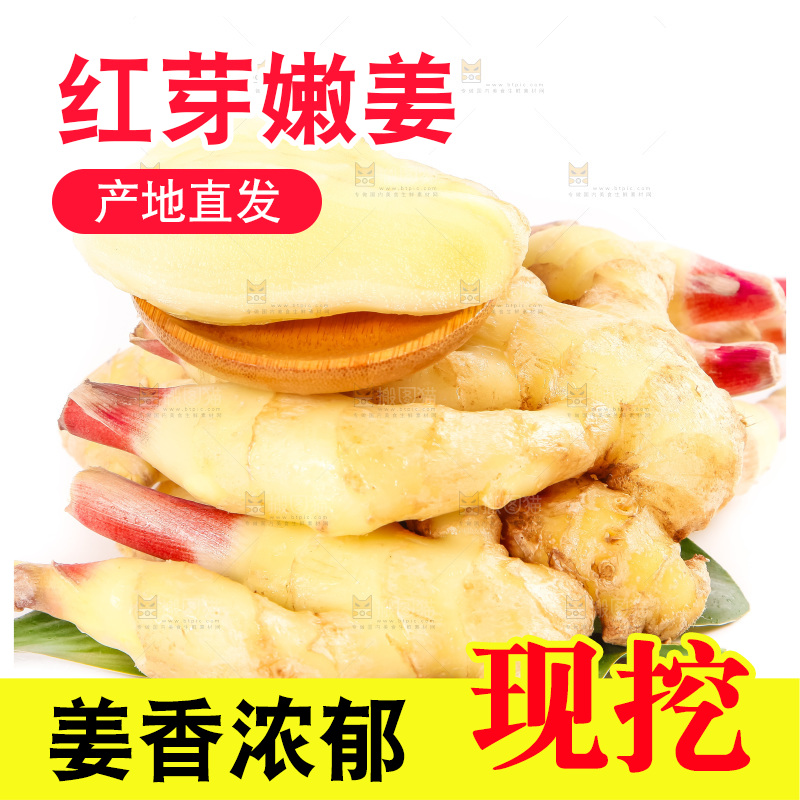 白底上的红芽姜