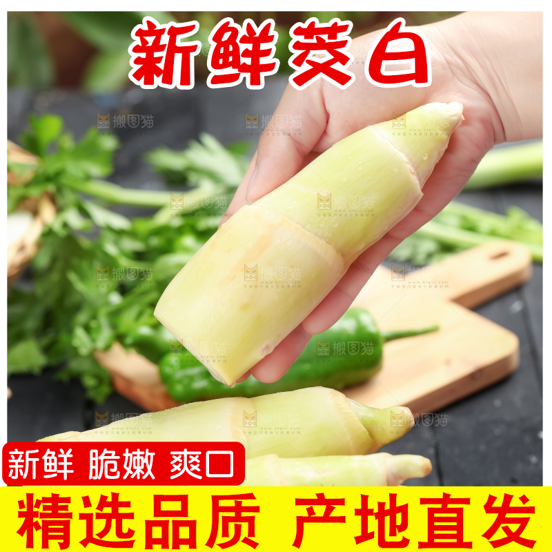 手里拿着湖北新鲜茭白