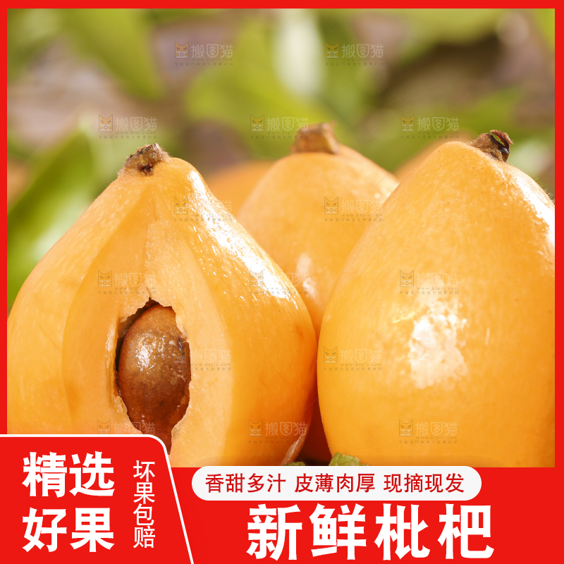 木底上放着新鲜枇杷