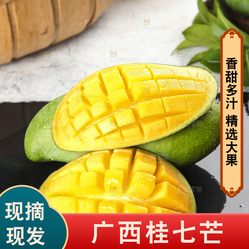 石板上的青皮桂七芒