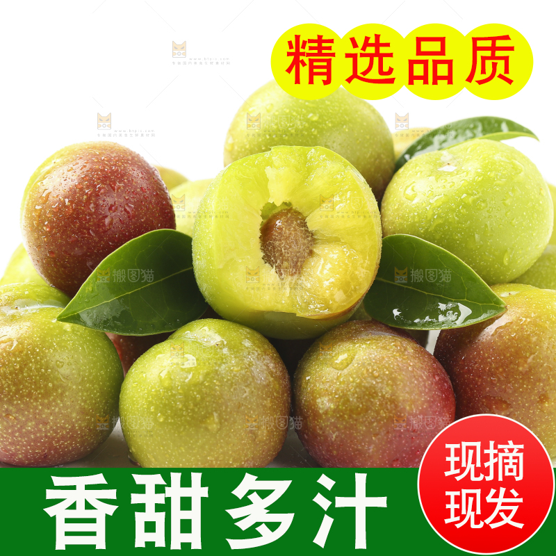 白底上摆放着新鲜李子