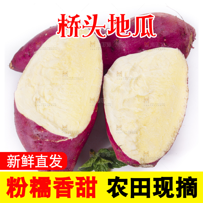 白底上摆放着桥头地瓜