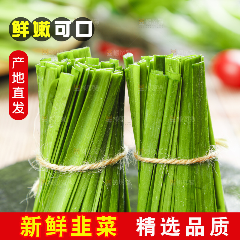 黑石上摆放着嫩韭菜
