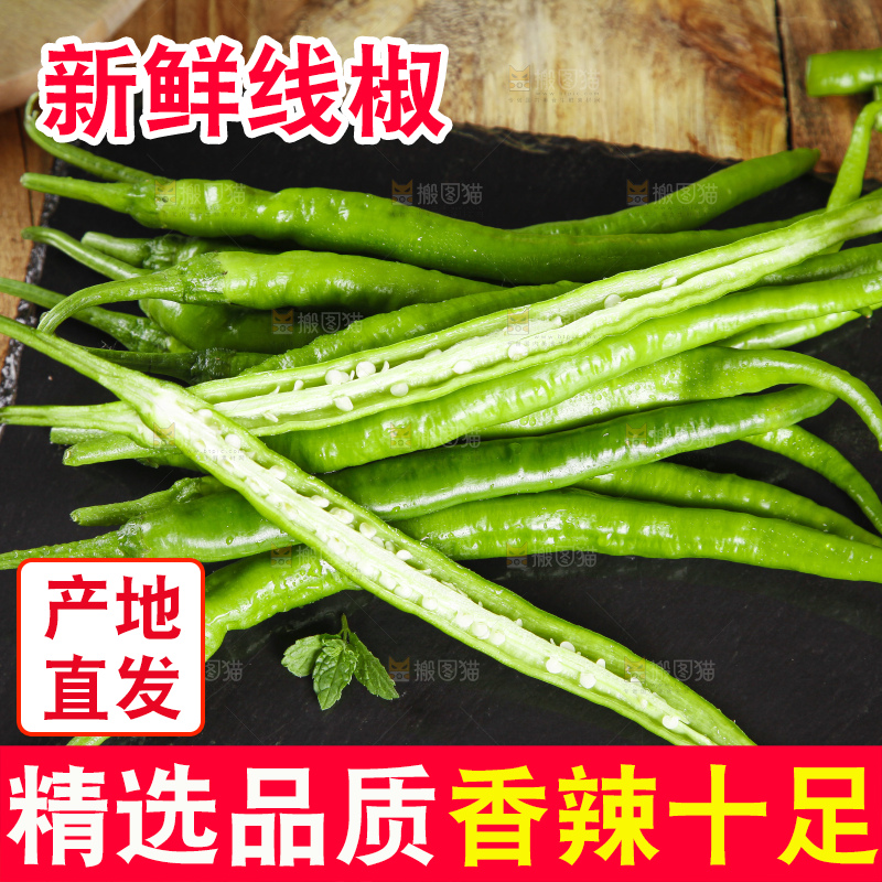 石板上放着青线椒