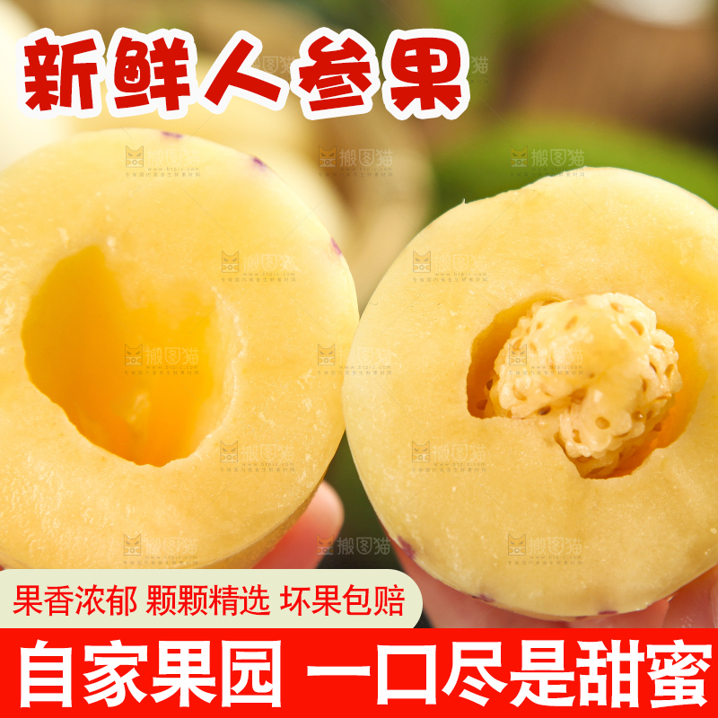 手里拿着人参圆果