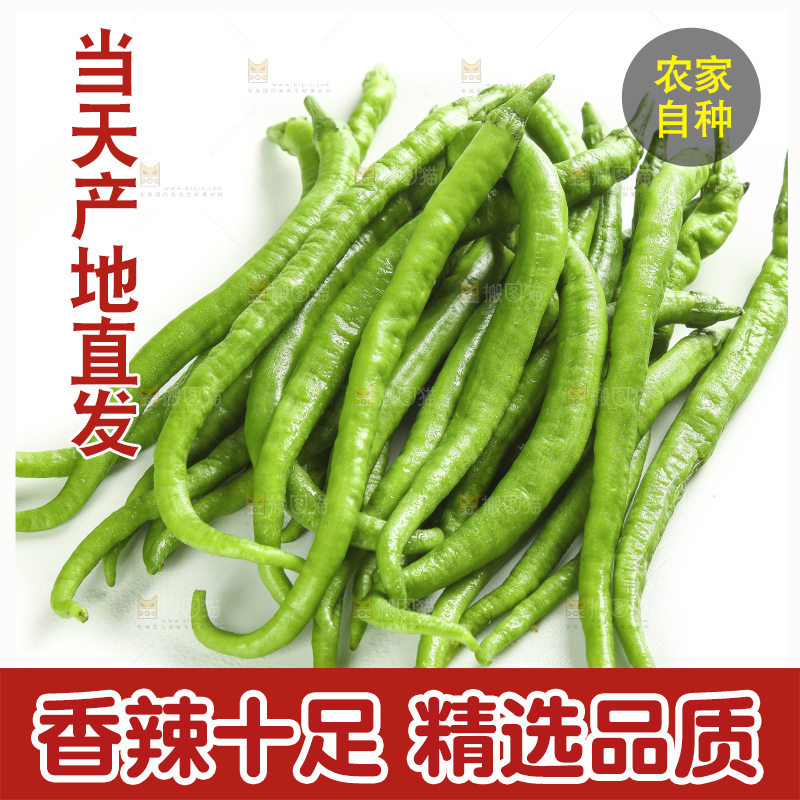 白底上的新鲜青辣椒