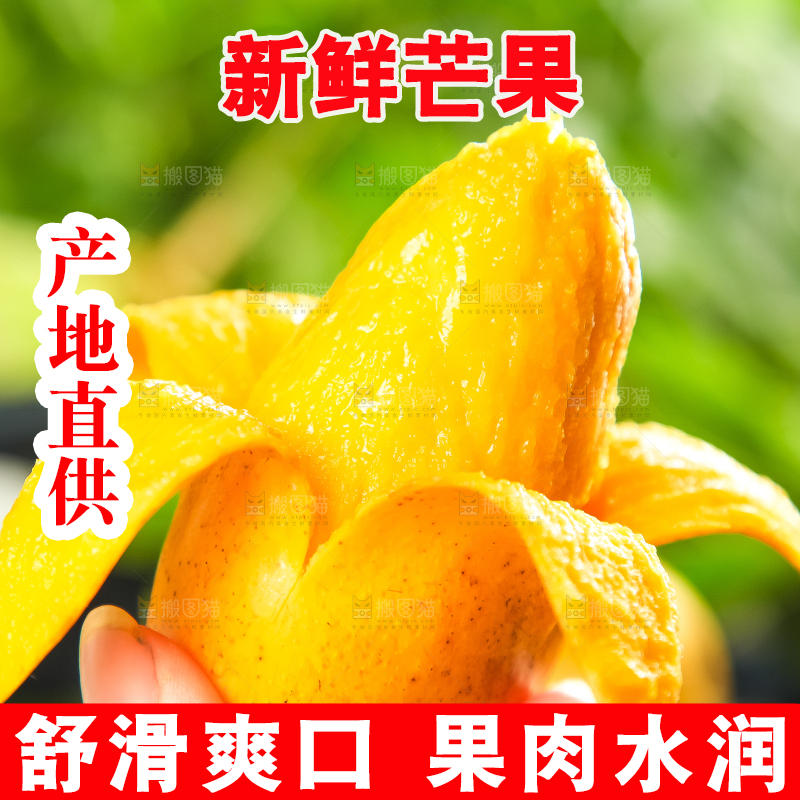 手里拿着小台芒
