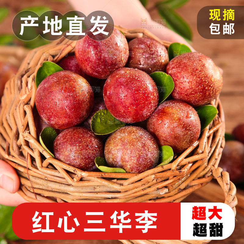 篮子里装着钱排三华李