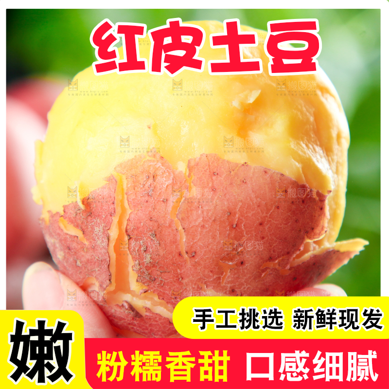 手里拿着红皮土豆