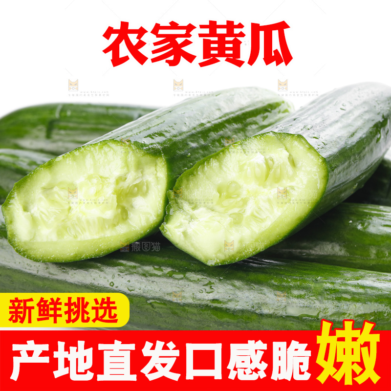 白底上摆放着嫩黄瓜