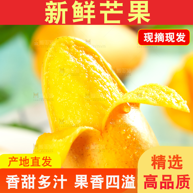 手里端着海南小台农芒果