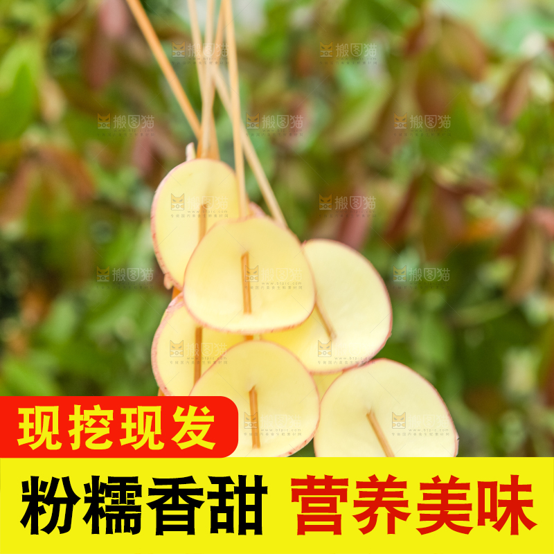 竹签串着切片的土豆