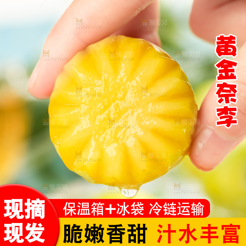 手里拿着新鲜黄金奈李