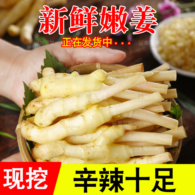 手里捧着一篮子嫩姜