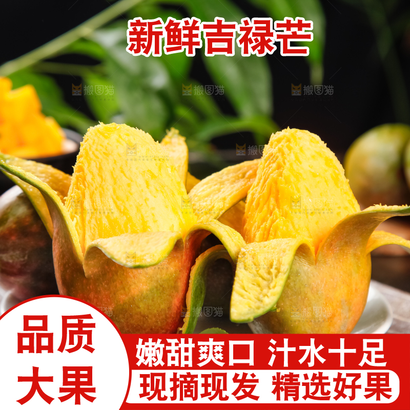 盘里装着爱文芒