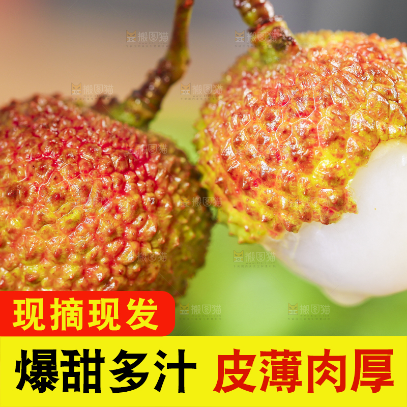 手里拿着新鲜妃子笑
