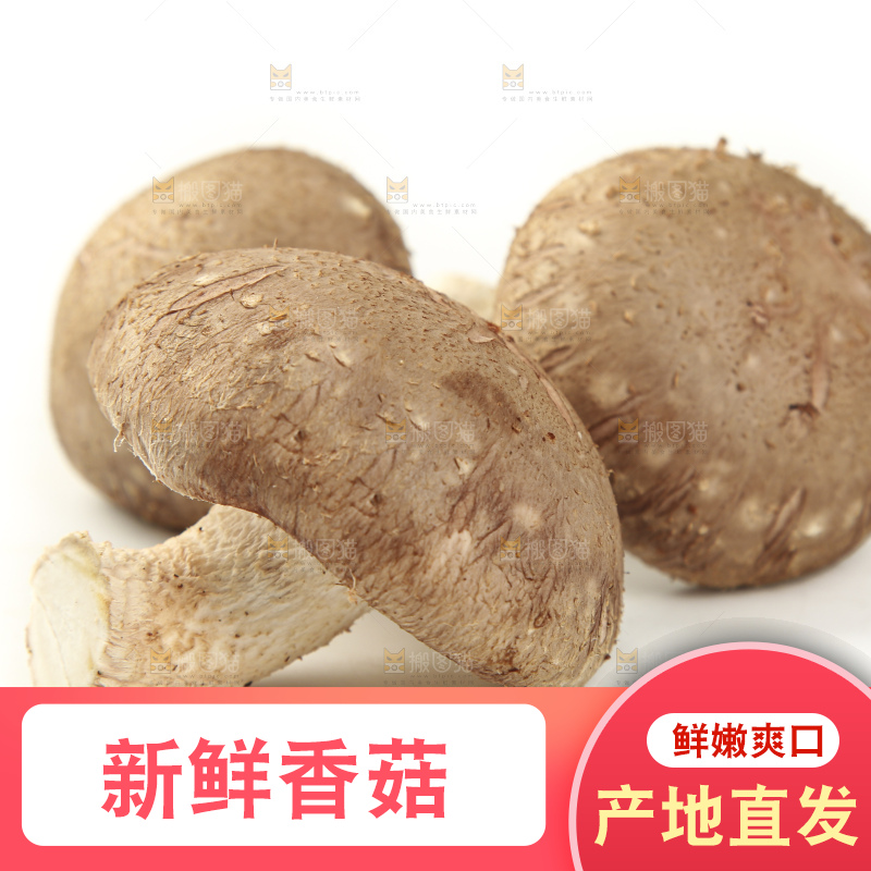 白底上放着香菇
