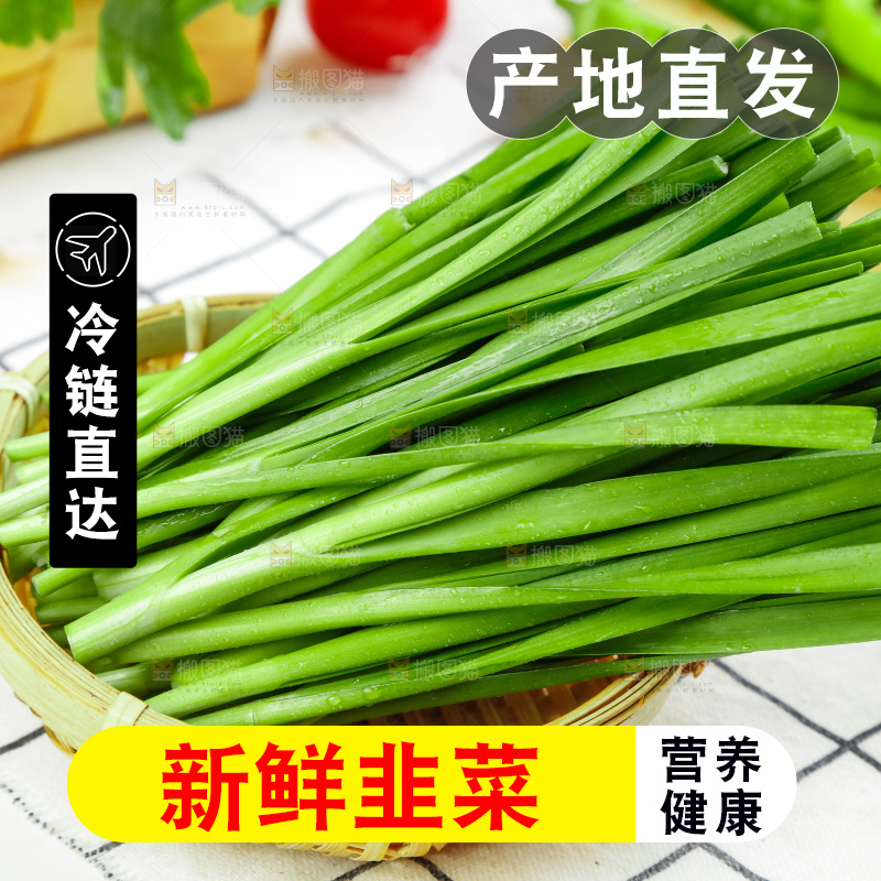篮子里装着嫩韭菜