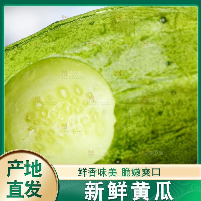浅底上的黄瓜
