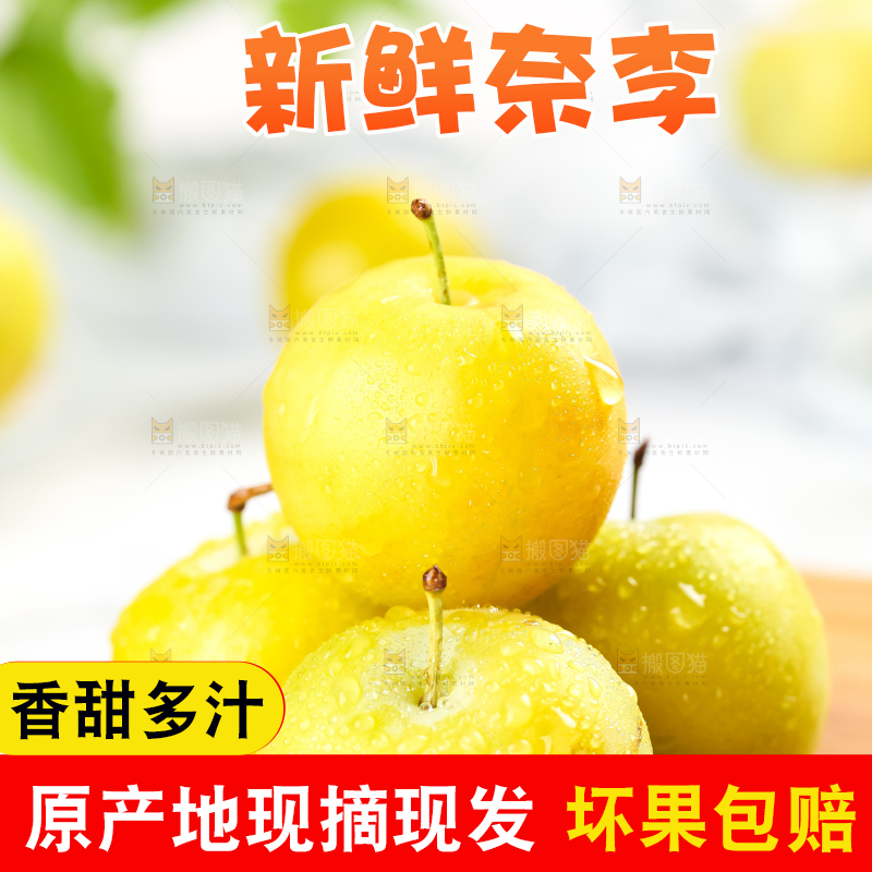亮底上的九峰山黄金奈李
