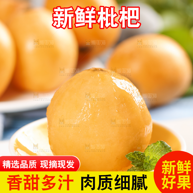 白底上摆放着枇杷