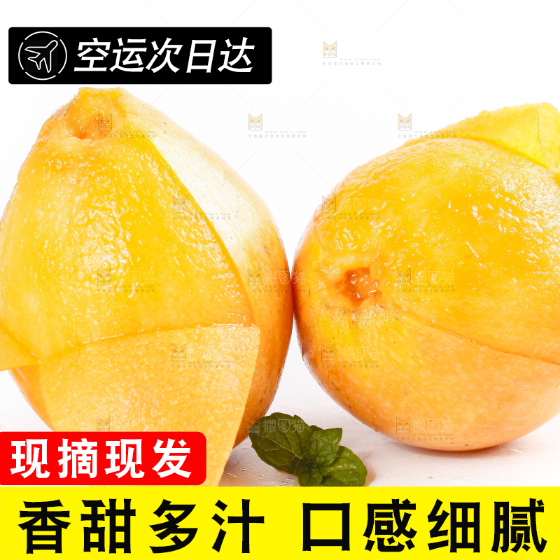 白底上摆放着新鲜枇杷