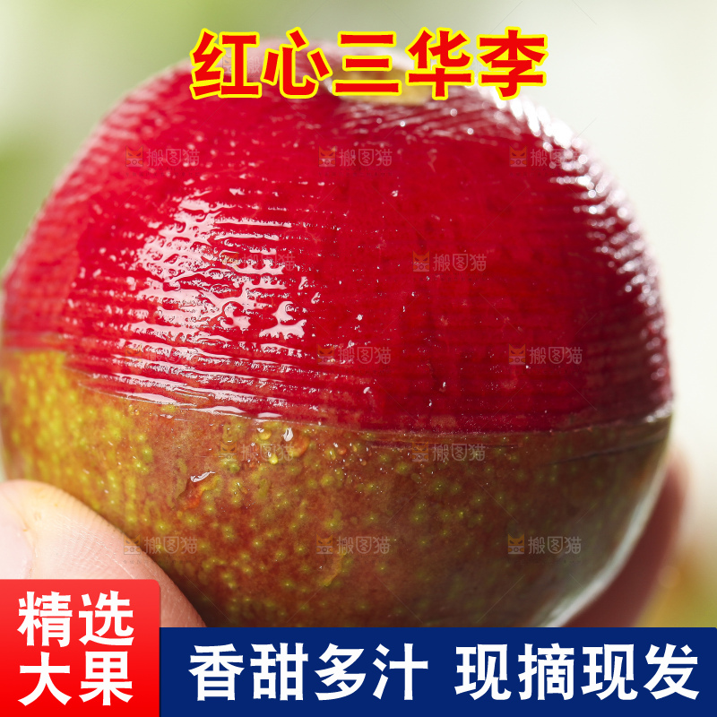 手里拿着红心三华李