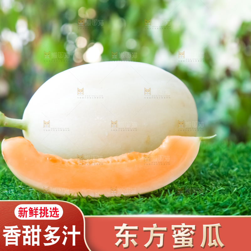 草地上放着东方蜜瓜