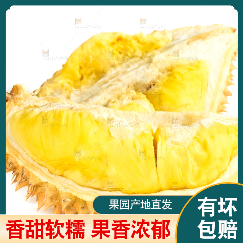 白底上放着泰国金枕头榴莲