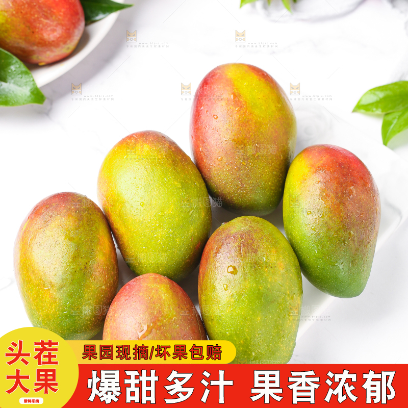 白石板上摆放着四川吉禄芒
