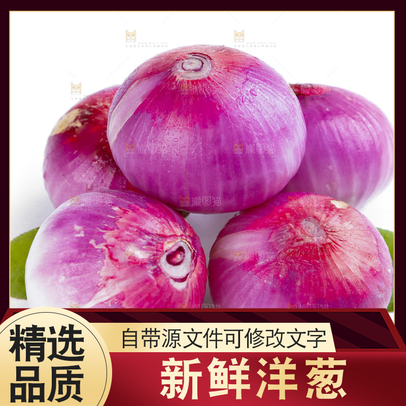 白底上的新鲜洋葱