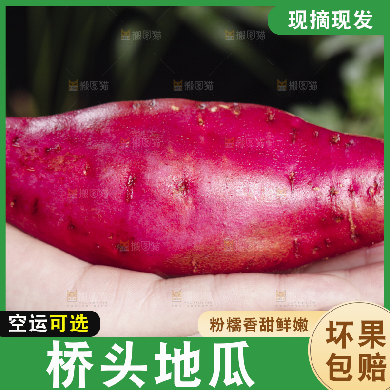 手里拿着红薯