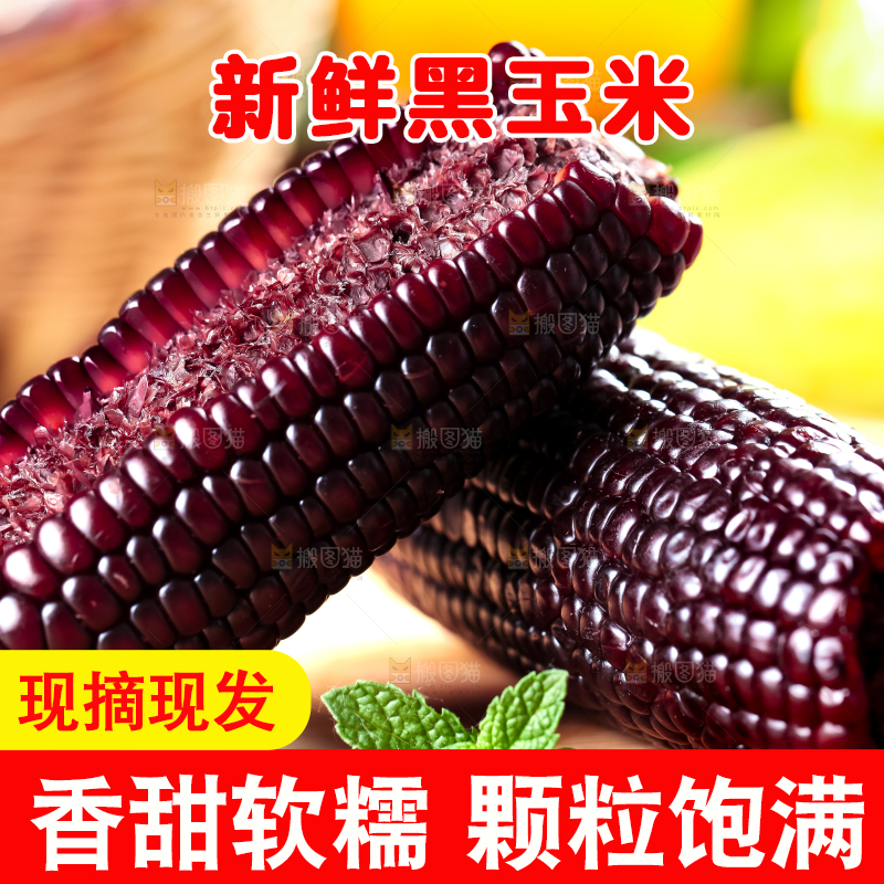 木底上放着黑玉米