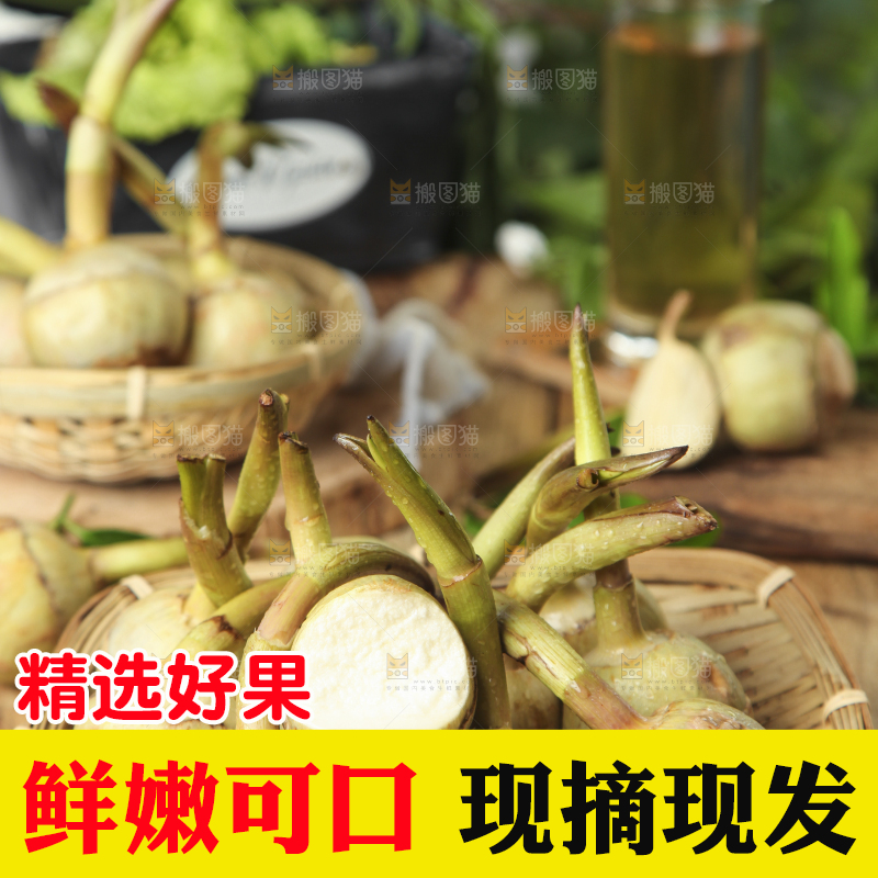 篮子里放着茨菇