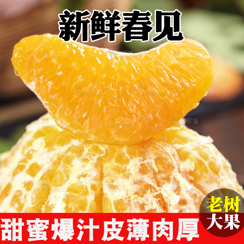 木板上的春见耙耙柑