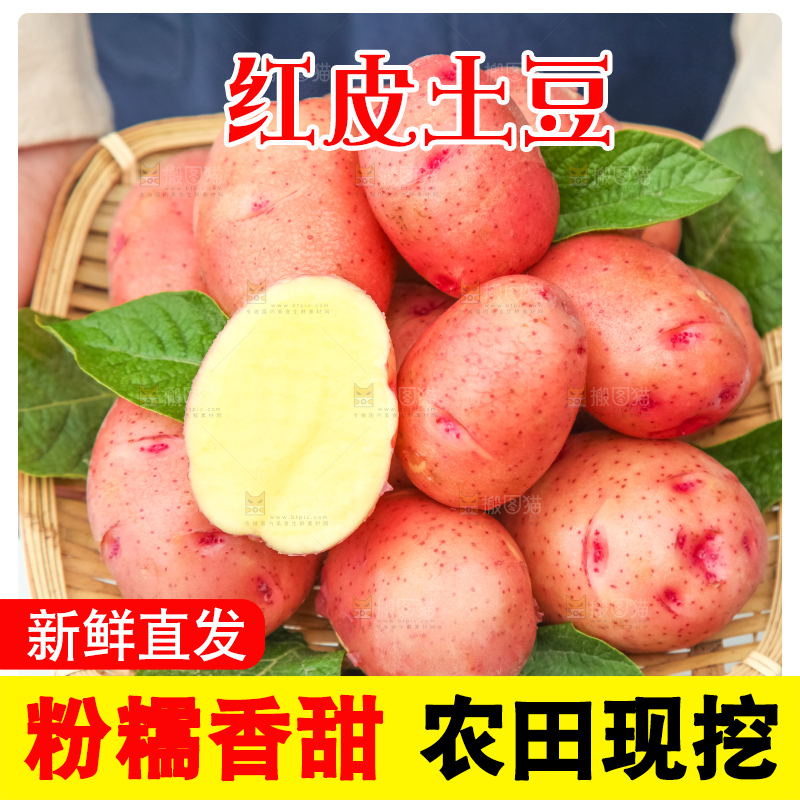 篮子里装着高山红皮土豆