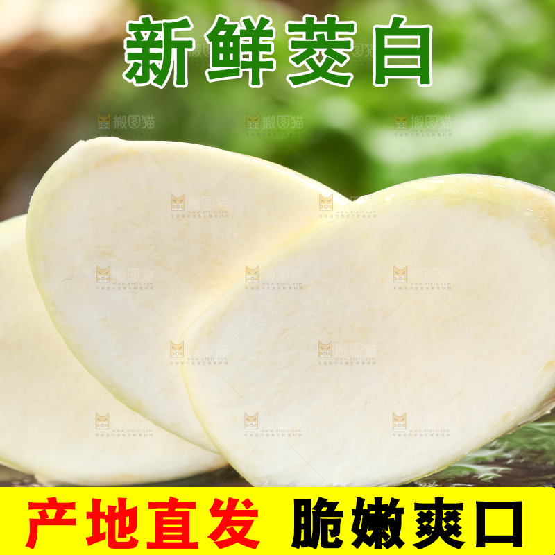 石板上的云南茭白