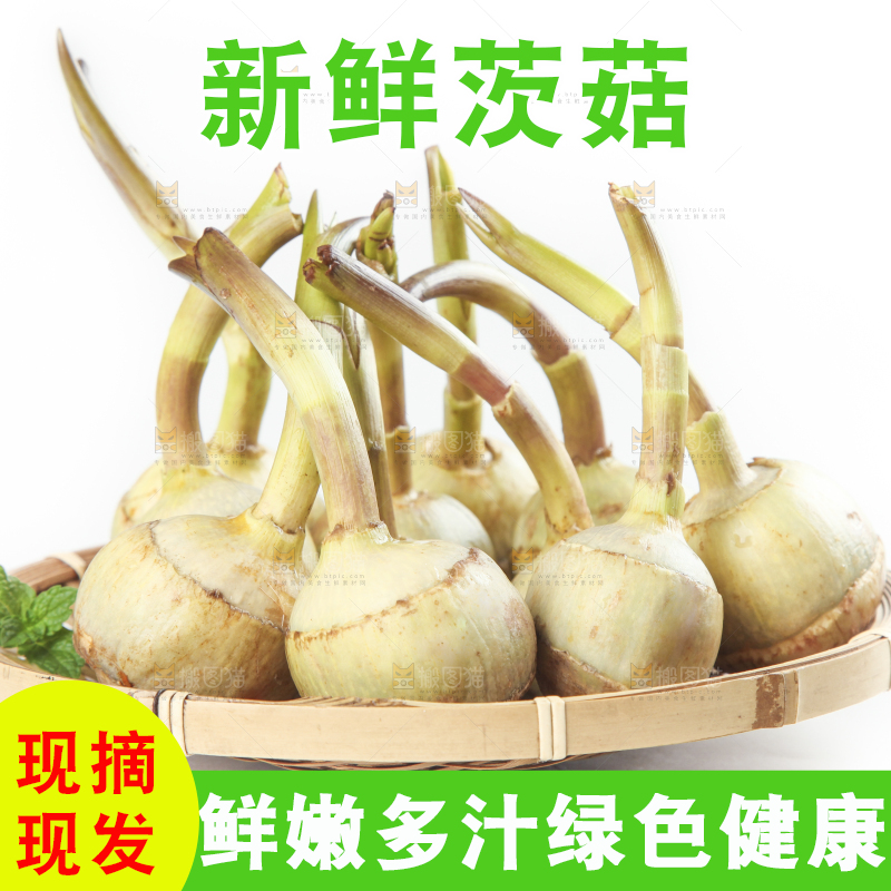 篮子里放着茨菇