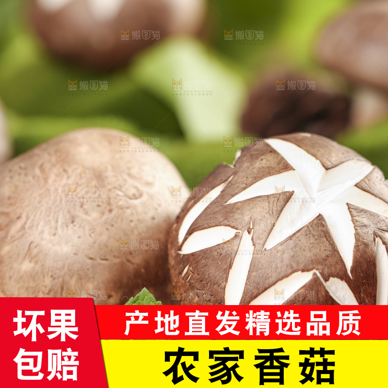 编织垫上放着香菇
